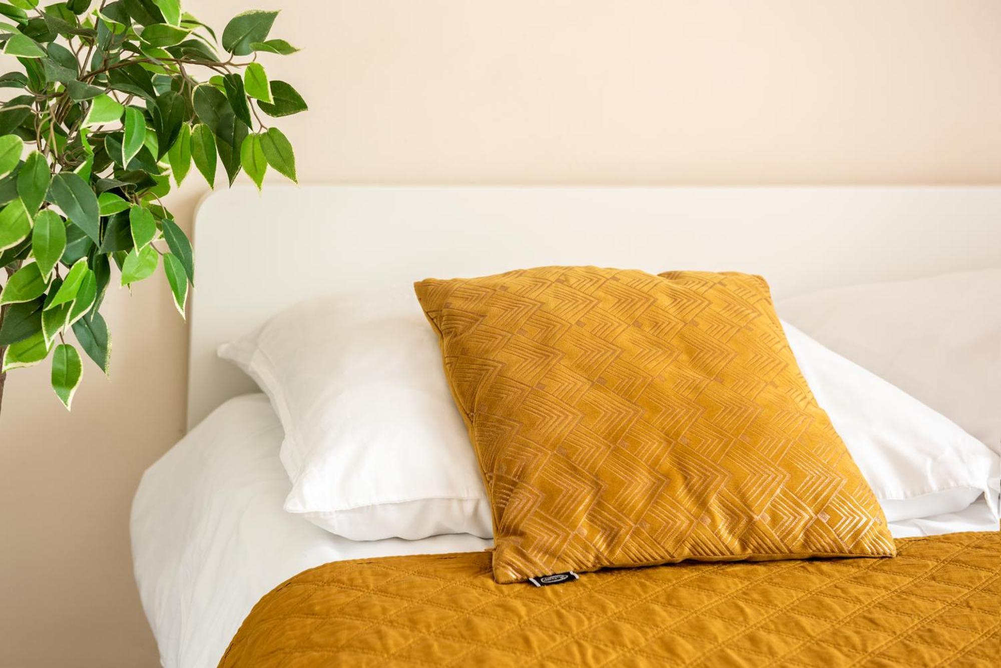 Cozy Modern Apartment Astoria Magic Orange Old Town Krasków Eksteriør bilde